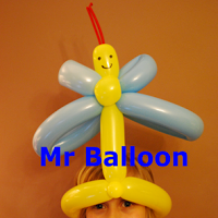 Mr Balloon 1069257 Image 7